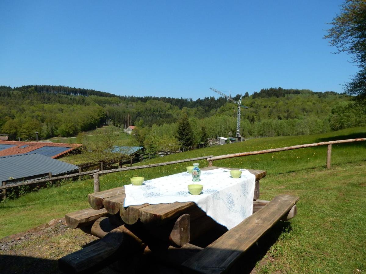 Cosy Holiday Home With Garden In Walscheid Kültér fotó