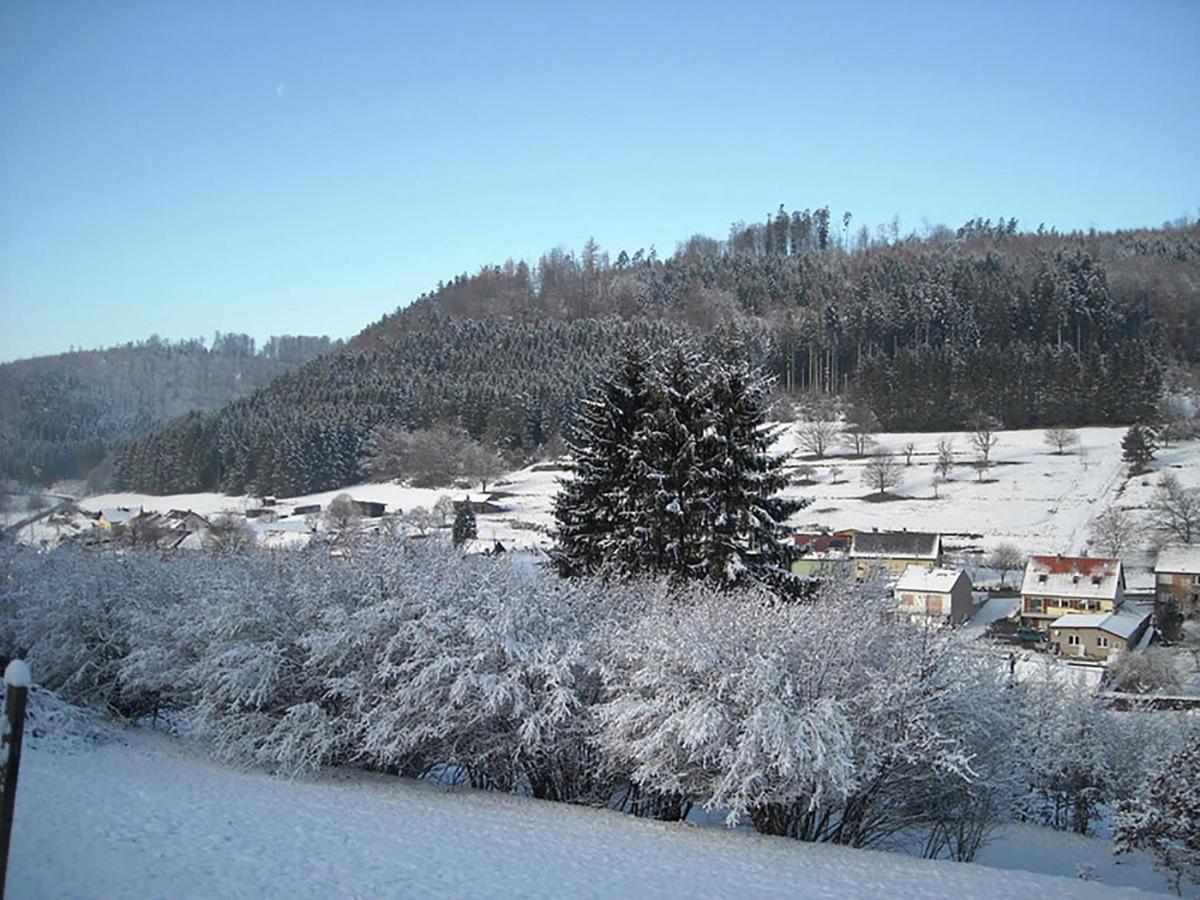 Cosy Holiday Home With Garden In Walscheid Kültér fotó