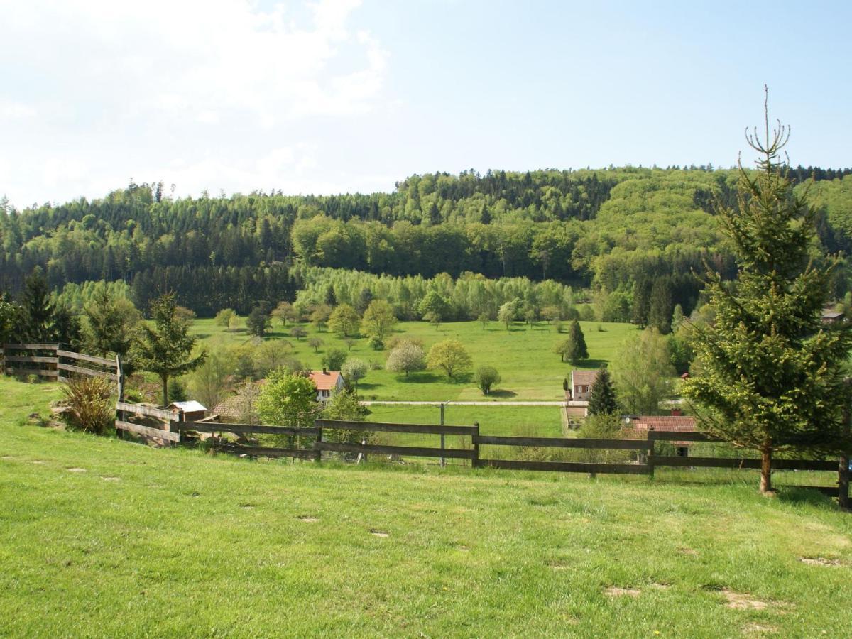 Cosy Holiday Home With Garden In Walscheid Kültér fotó